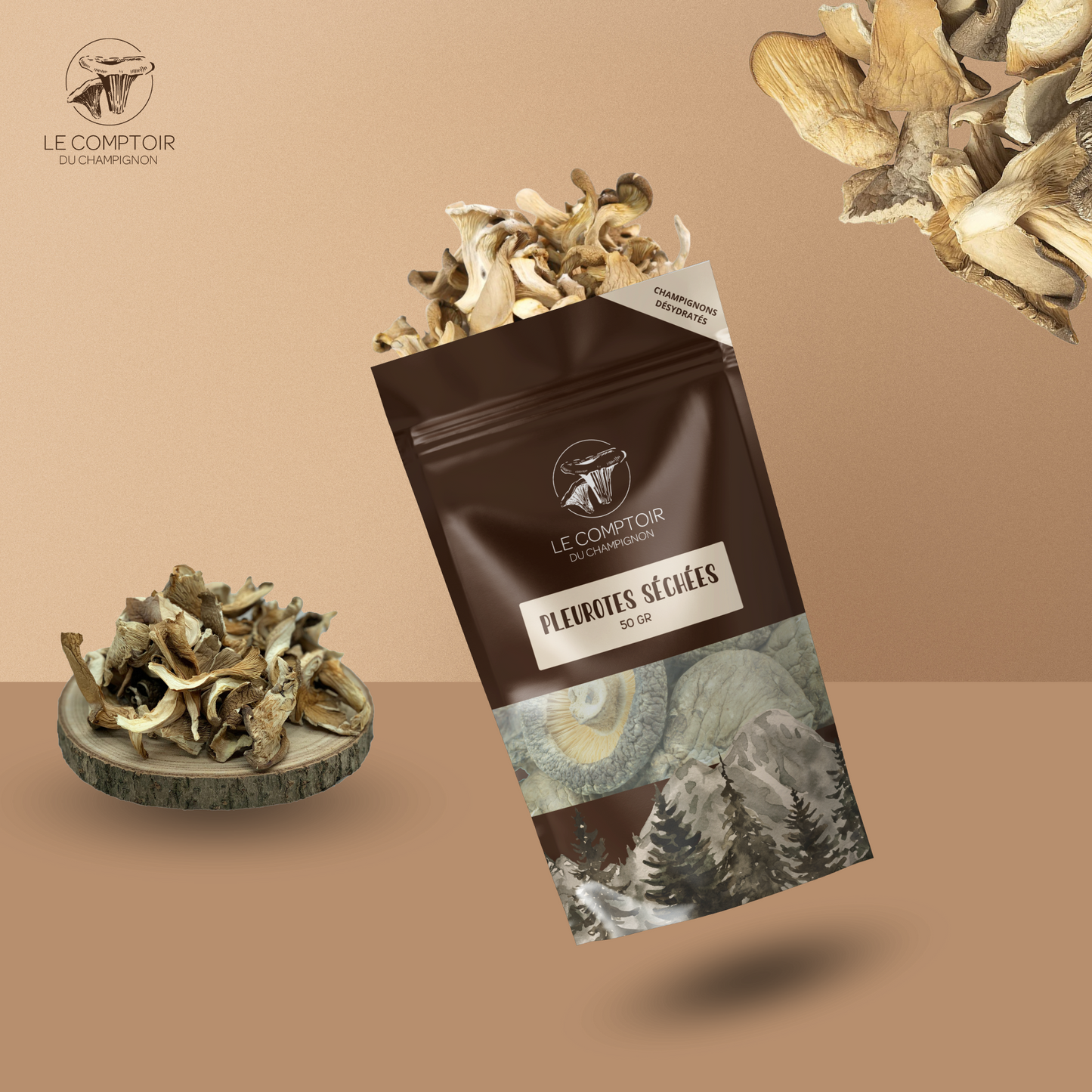 Pleurotes Séchées 100g Qualité supérieure