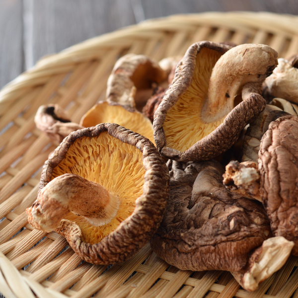 Shiitake séchés 100g Qualité supérieure