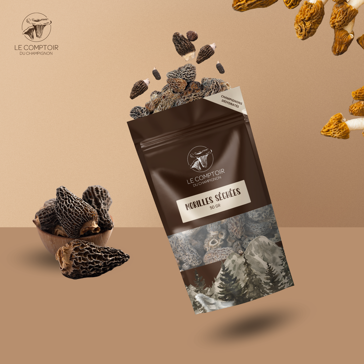 prix morilles