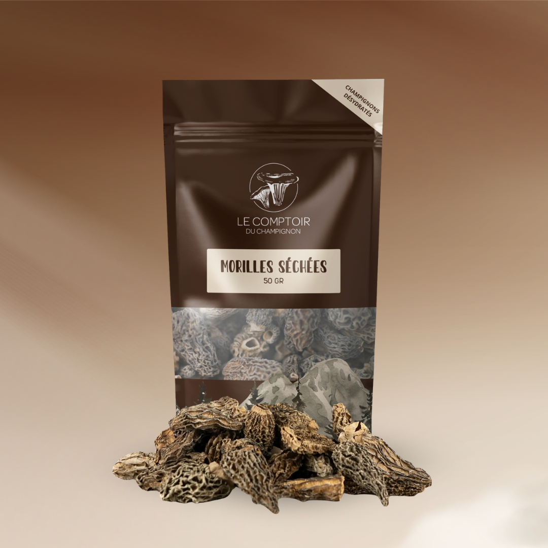 Morilles séchées