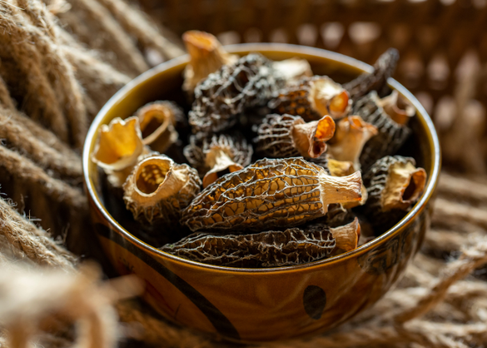 assortiment de champignons sechés