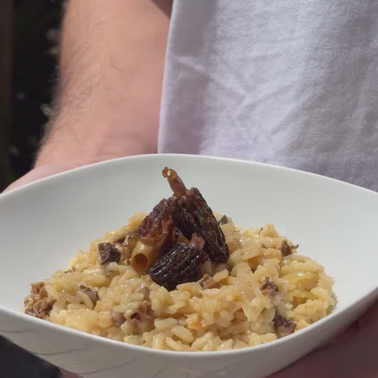 Morilles séchées réhydratées puis cuisinées par une cliente